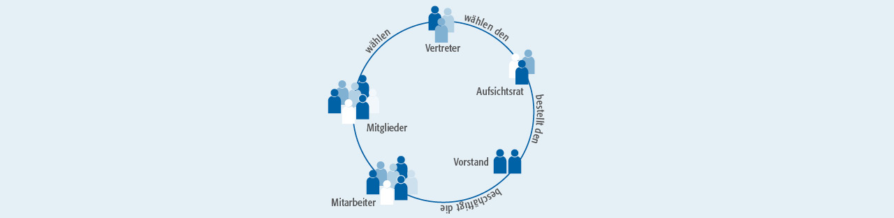 Kreisdiagramm, dass Organisation und die Beziehungen zwischen verschiedenen Gruppen innerhalb der Genossenschaft darstellt.