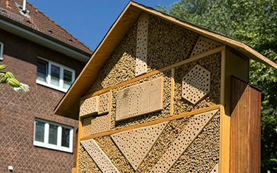 Ein Foto des Insektenhotels